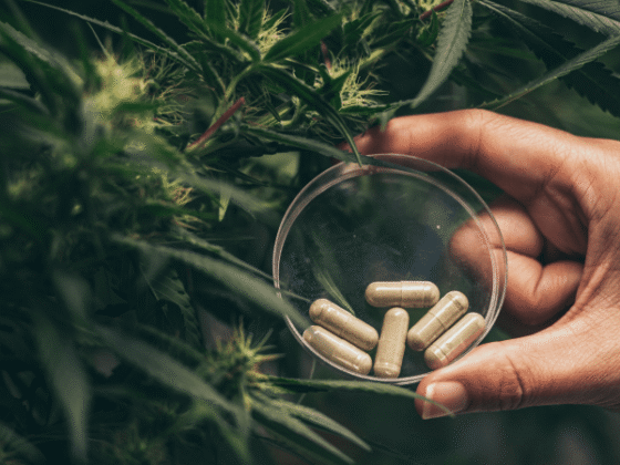 Will CBD Oil Trigger a Positive Drug Test?