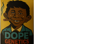 Dope Genetics